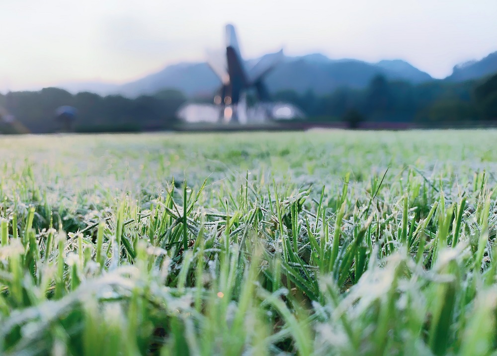 ΢��ͼƬ_20240110134937 - ����.jpg